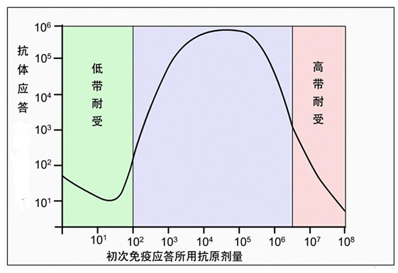 Figure-2-免疫应答发生抗体依赖于初次免疫应答所用抗原剂量.jpg