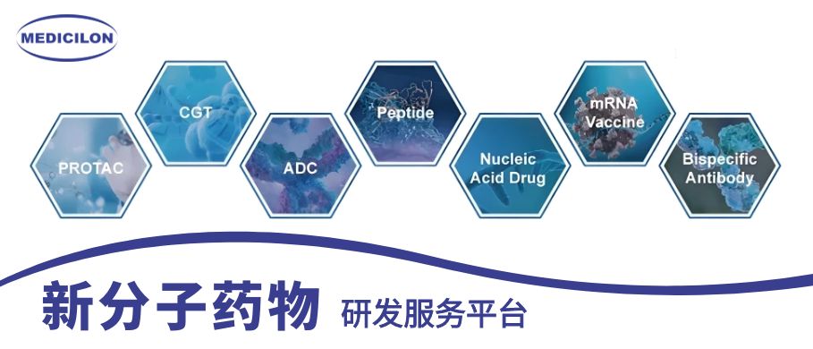 美迪西新分子药物研发服务平台 美迪西新分子药物研发服务平台